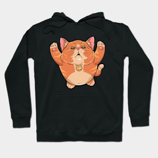 Cute Cat Hoodie